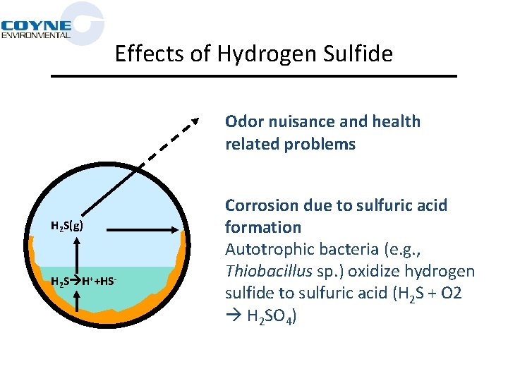Odor And Corrosion Control Chemistries In The Collection