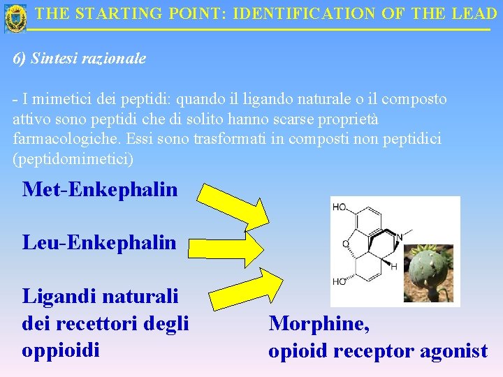 THE STARTING POINT: IDENTIFICATION OF THE LEAD 6) Sintesi razionale - I mimetici dei