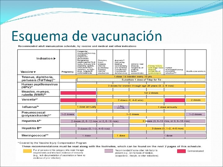 Esquema de vacunación 