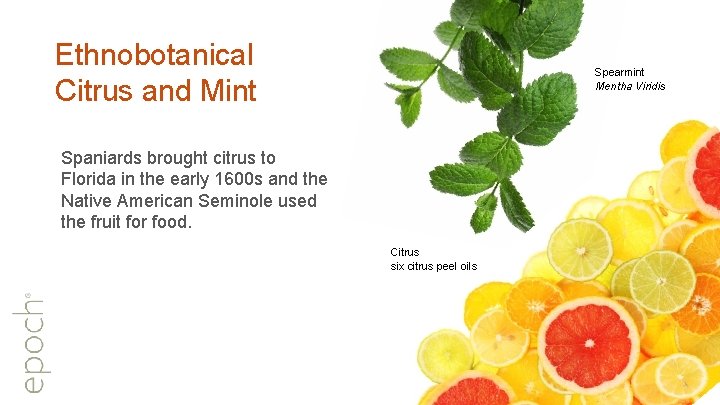 Ethnobotanical Citrus and Mint Spearmint Mentha Viridis Spaniards brought citrus to Florida in the