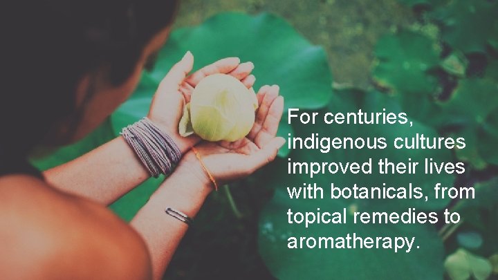 For centuries, indigenous cultures improved their lives with botanicals, from topical remedies to aromatherapy.