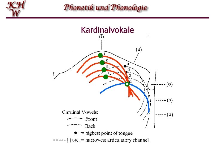 Kardinalvokale 