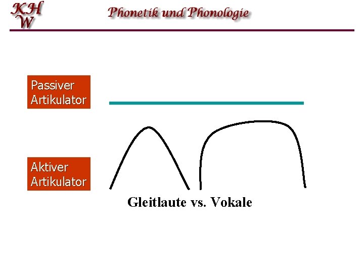 Passiver Artikulator Aktiver Artikulator Gleitlaute vs. Vokale 