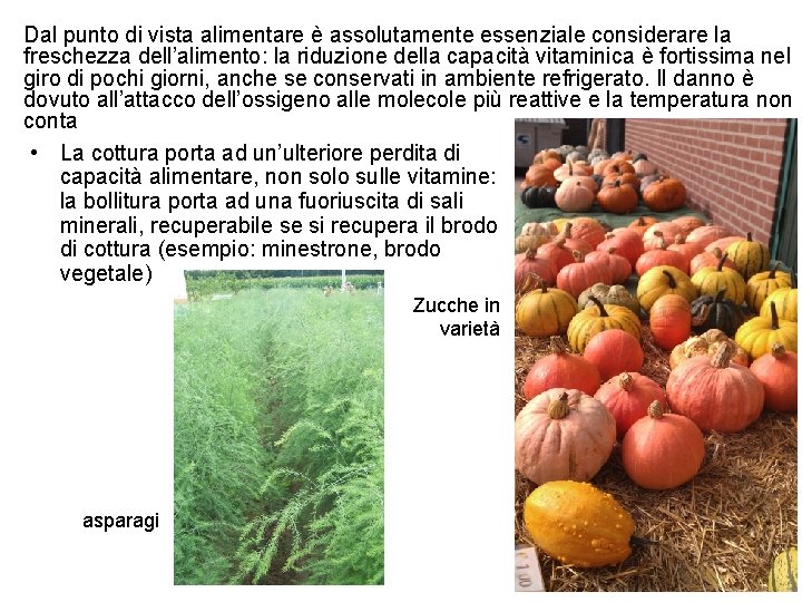 Dal punto di vista alimentare è assolutamente essenziale considerare la freschezza dell’alimento: la riduzione