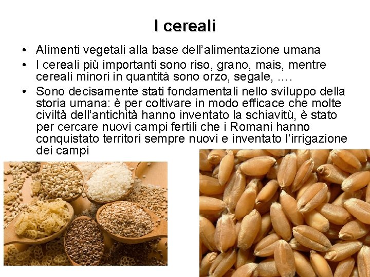I cereali • Alimenti vegetali alla base dell’alimentazione umana • I cereali più importanti