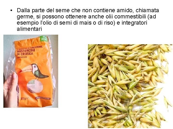  • Dalla parte del seme che non contiene amido, chiamata germe, si possono