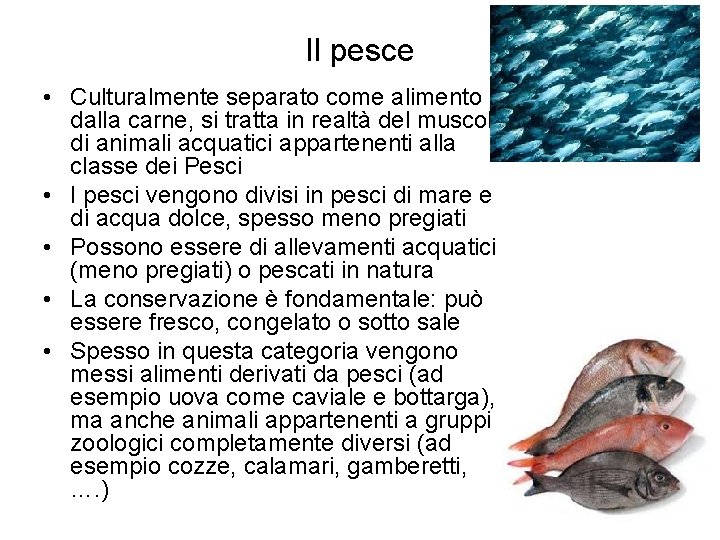 Il pesce • Culturalmente separato come alimento dalla carne, si tratta in realtà del