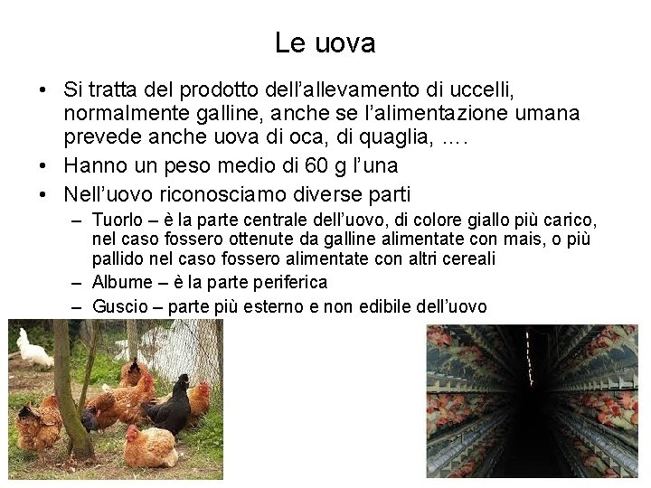 Le uova • Si tratta del prodotto dell’allevamento di uccelli, normalmente galline, anche se