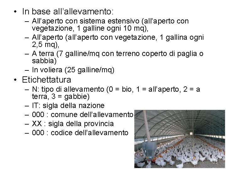  • In base all’allevamento: – All’aperto con sistema estensivo (all’aperto con vegetazione, 1