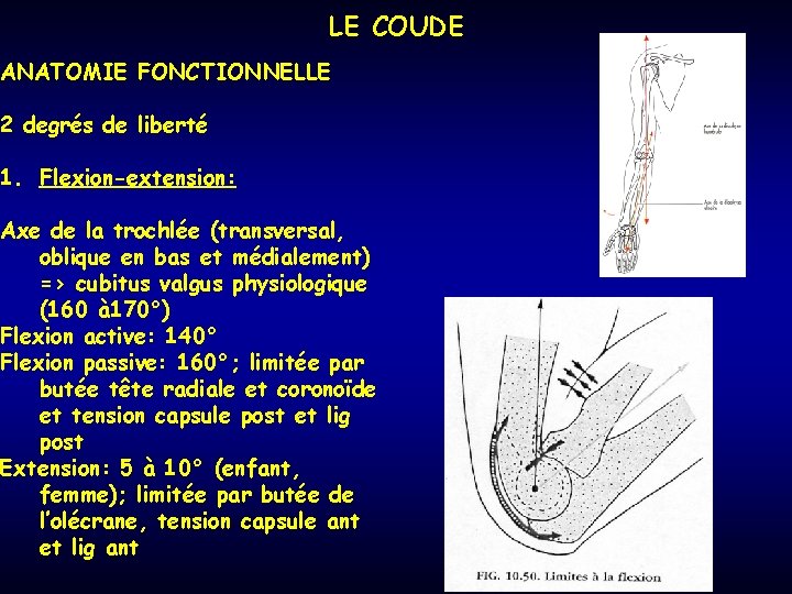LE COUDE ANATOMIE FONCTIONNELLE 2 degrés de liberté 1. Flexion-extension: Axe de la trochlée