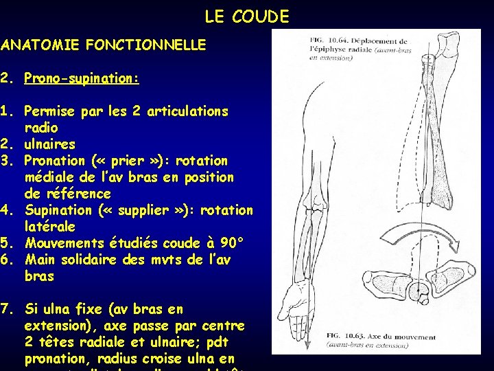 LE COUDE ANATOMIE FONCTIONNELLE 2. Prono-supination: 1. Permise par les 2 articulations radio 2.