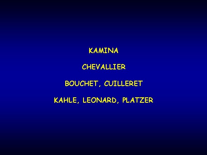 KAMINA CHEVALLIER BOUCHET, CUILLERET KAHLE, LEONARD, PLATZER 