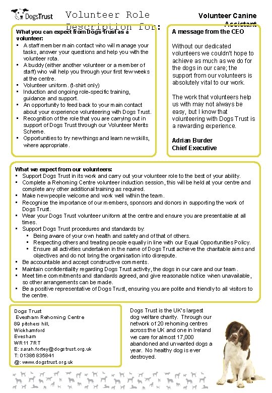 Volunteer Role Description for: What you can expect from Dogs Trust as a volunteer: