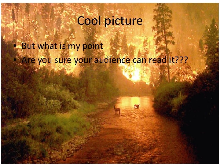 Cool picture • But what is my point • Are you sure your audience