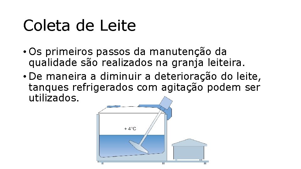 Coleta de Leite • Os primeiros passos da manutenção da qualidade são realizados na