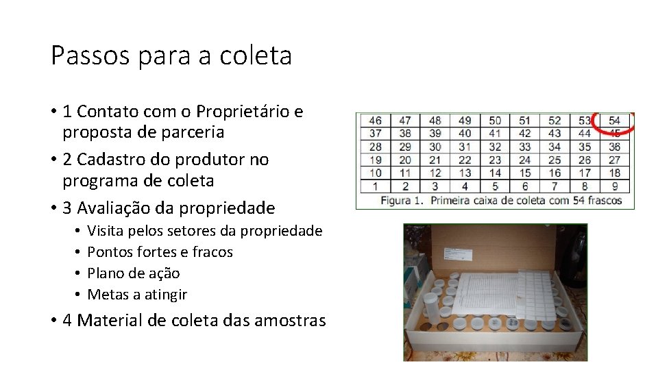 Passos para a coleta • 1 Contato com o Proprietário e proposta de parceria