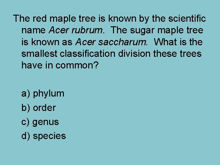 The red maple tree is known by the scientific name Acer rubrum. The sugar