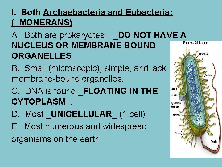 I. Both Archaebacteria and Eubacteria: (_MONERANS) A. Both are prokaryotes—_DO NOT HAVE A NUCLEUS