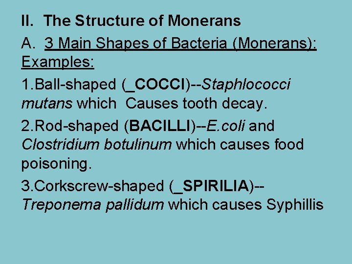 II. The Structure of Monerans A. 3 Main Shapes of Bacteria (Monerans): Examples: 1.