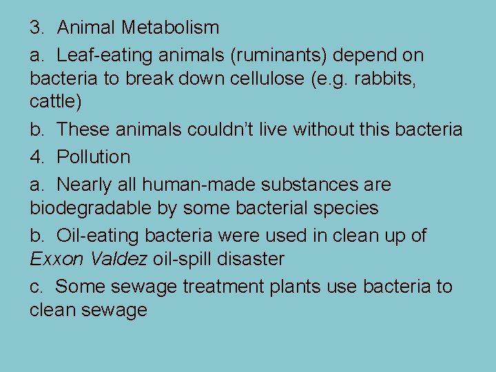 3. Animal Metabolism a. Leaf-eating animals (ruminants) depend on bacteria to break down cellulose
