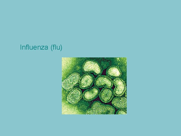 Influenza (flu) 