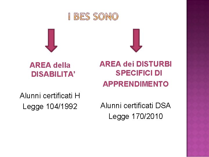 AREA della DISABILITA’ Alunni certificati H Legge 104/1992 AREA dei DISTURBI SPECIFICI DI APPRENDIMENTO