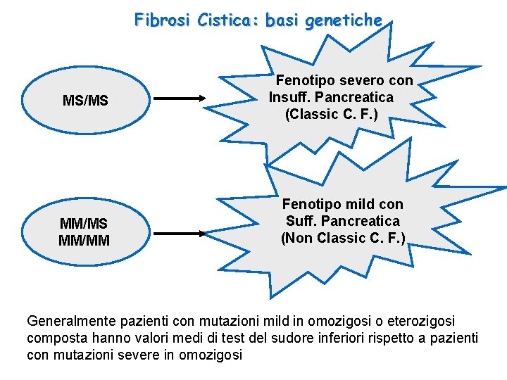 Fibrosi Cistica: basi genetiche MS/MS MM/MM Fenotipo severo con Insuff. Pancreatica (Classic C. F.