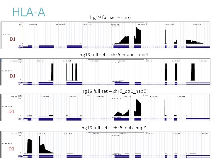 HLA-A hg 19 full set – chr 6 D 1 hg 19 full set