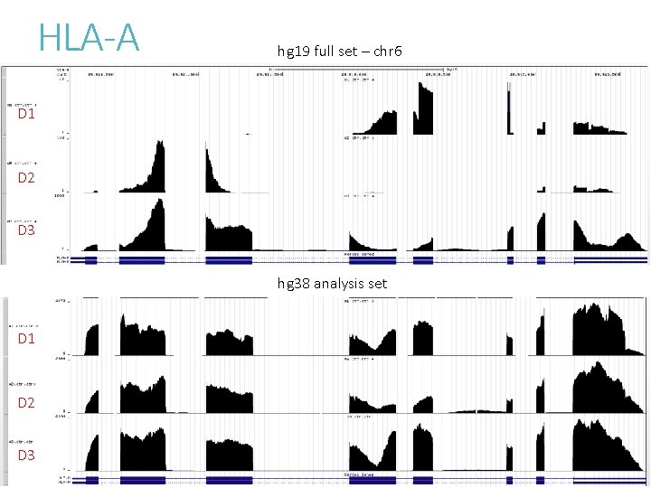 HLA-A hg 19 full set – chr 6 D 1 D 2 D 3