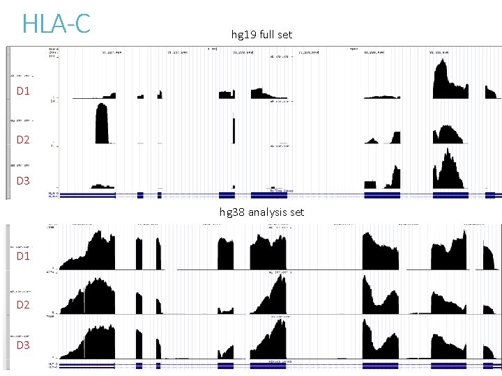 HLA-C hg 19 full set D 1 D 2 D 3 hg 38 analysis
