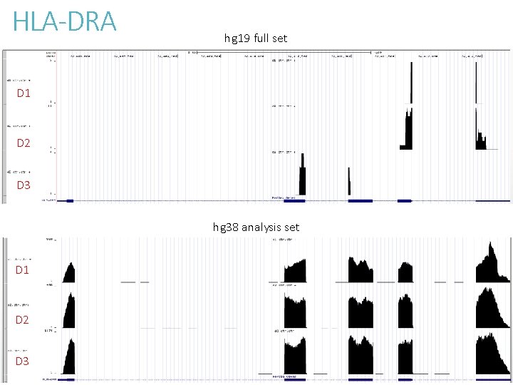 HLA-DRA hg 19 full set D 1 D 2 D 3 hg 38 analysis