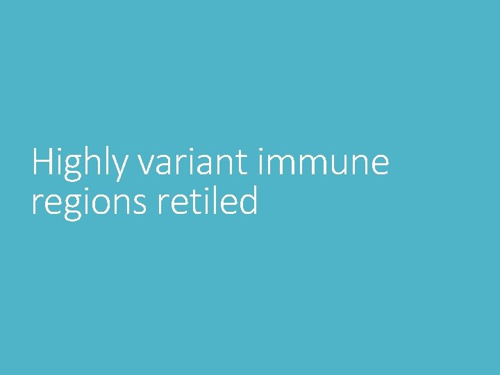 Highly variant immune regions retiled 