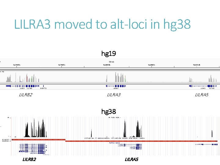 LILRA 3 moved to alt-loci in hg 38 hg 19 LILRB 2 LILRA 3