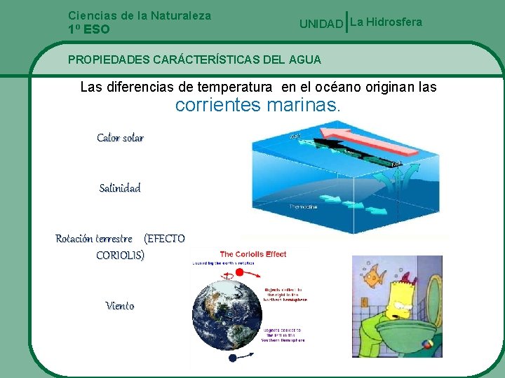 Ciencias de la Naturaleza UNIDAD La Hidrosfera 1º ESO PROPIEDADES CARÁCTERÍSTICAS DEL AGUA Las
