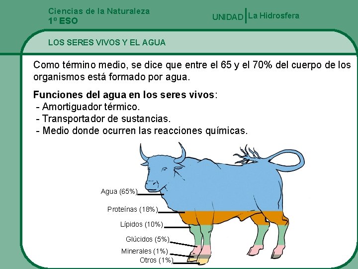 Ciencias de la Naturaleza 1º ESO UNIDAD La Hidrosfera LOS SERES VIVOS Y EL