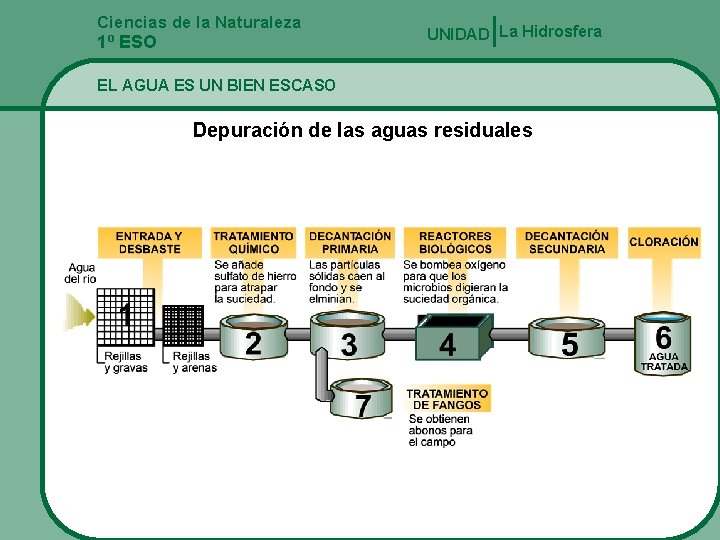 Ciencias de la Naturaleza 1º ESO UNIDAD La Hidrosfera EL AGUA ES UN BIEN