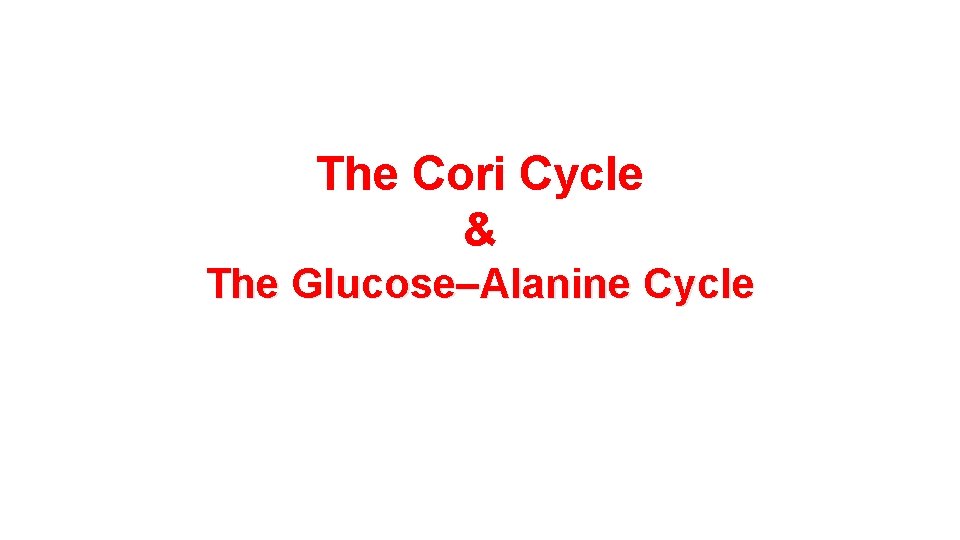 The Cori Cycle & The Glucose–Alanine Cycle 