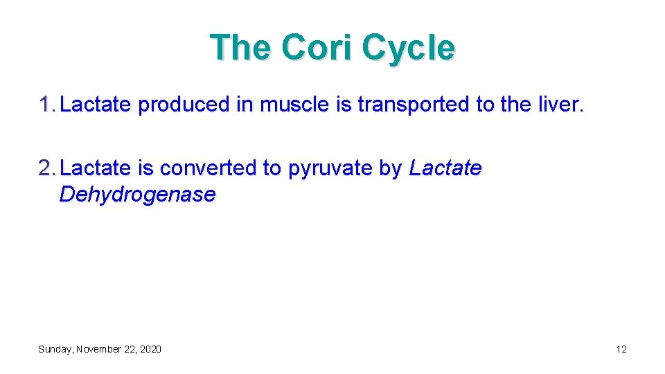 The Cori Cycle 1. Lactate produced in muscle is transported to the liver. 2.