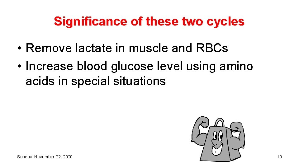 Significance of these two cycles • Remove lactate in muscle and RBCs • Increase