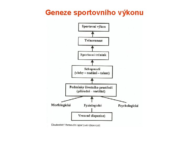 Geneze sportovního výkonu 