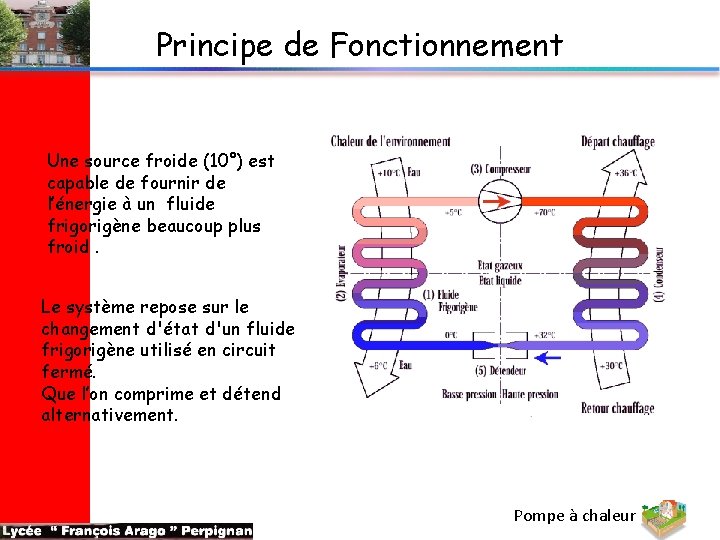 Principe de Fonctionnement Une source froide (10°) est capable de fournir de l’énergie à