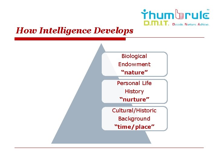 How Intelligence Develops Biological Endowment “nature” Personal Life History “nurture” Cultural/Historic Background “time/place” 