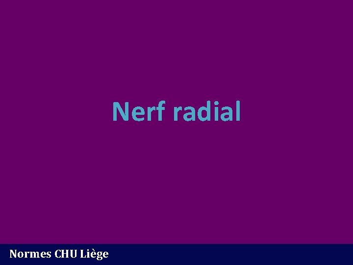 Nerf radial Normes CHU Liège 