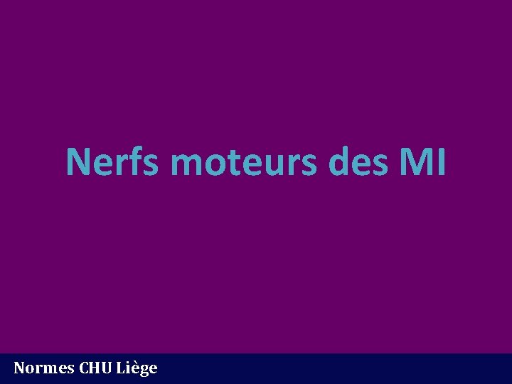 Nerfs moteurs des MI Normes CHU Liège 