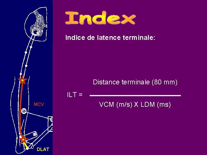 Indice de latence terminale: Distance terminale (80 mm) ILT = MCV Normes CHU DLATLiège