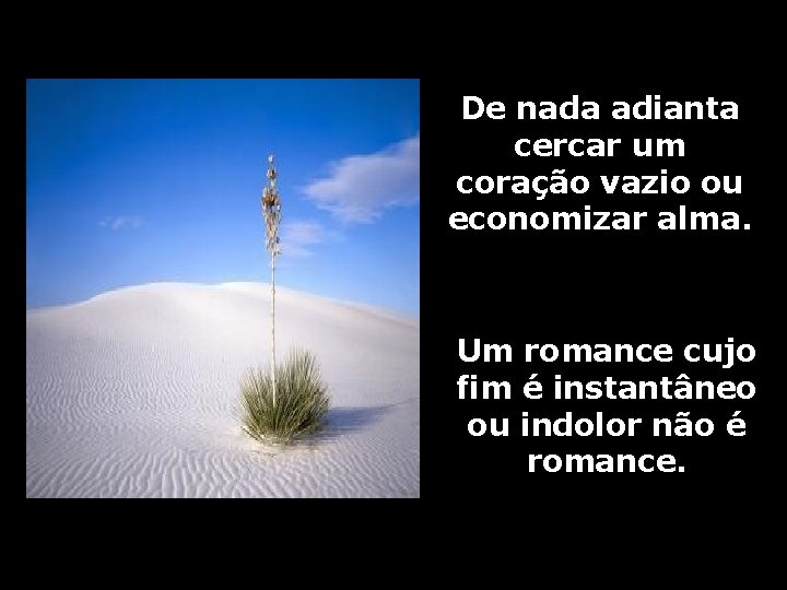 De nada adianta cercar um coração vazio ou economizar alma. Um romance cujo fim