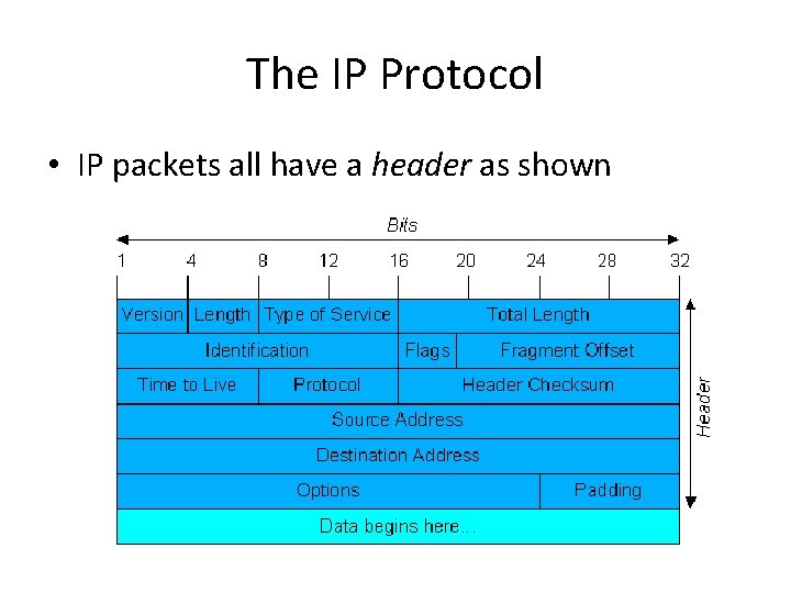 The IP Protocol • IP packets all have a header as shown 
