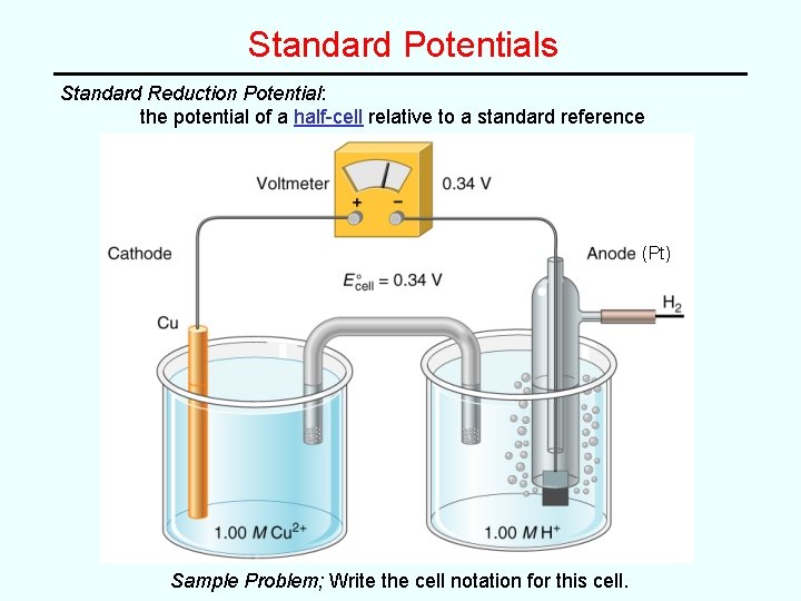 Standard Potentials Standard Reduction Potential: the potential of a half-cell relative to a standard