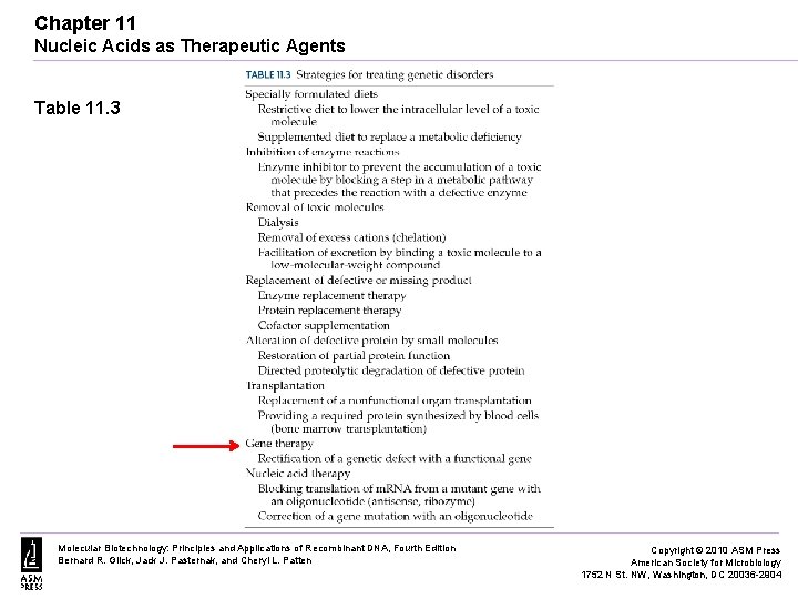 Chapter 11 Nucleic Acids as Therapeutic Agents Table 11. 3 Molecular Biotechnology: Principles and