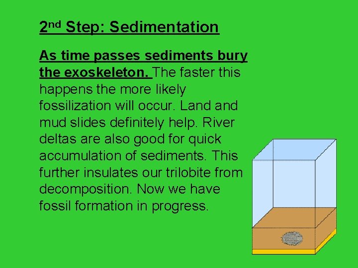 2 nd Step: Sedimentation As time passes sediments bury the exoskeleton. The faster this